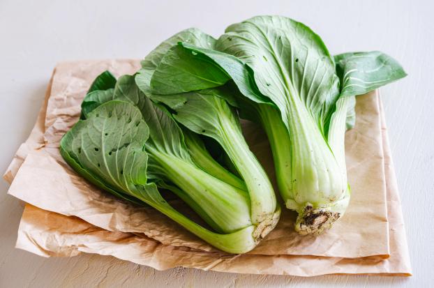 Chou Pak Choi / Adobe Stock