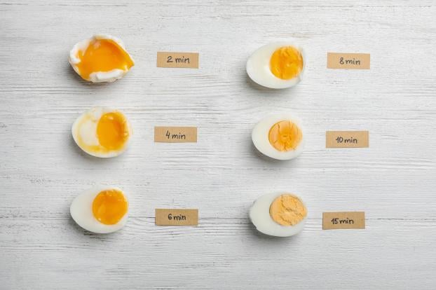 Toutes les façons de cuisiner l'œuf