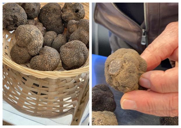Comment râper les truffes noires et les préparer ? - LES CAVEURS