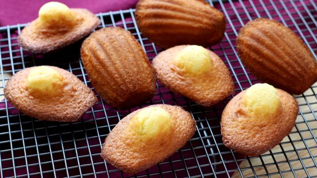 Madeleines, la recette 100% fiable !