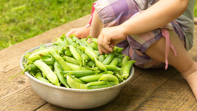 Que faire avec des cosses de petits pois ? - 750g.com