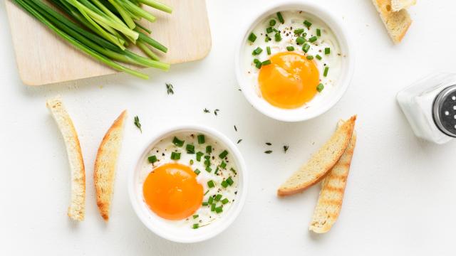 Vous avez des oeufs sous la main ? Voici nos recettes rapides pour en faire de délicieux plats complets