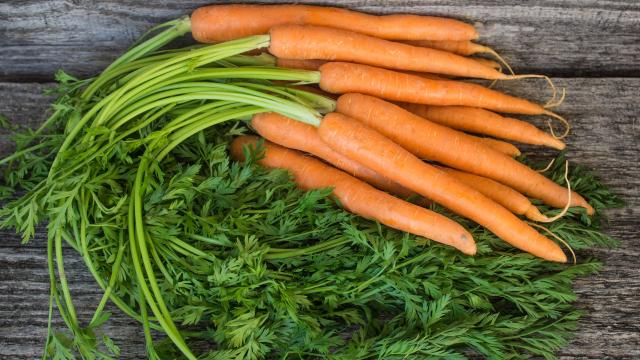 7 choses délicieuses à faire avec vos fanes de carottes