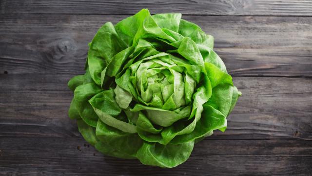 Est-ce possible de congeler de la salade ? Voici la réponse