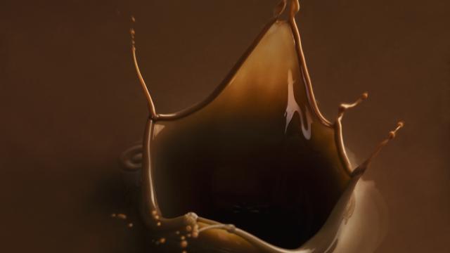 Chocolat fondu, ganache, copeaux, tous les gestes à connaitre en vidéo