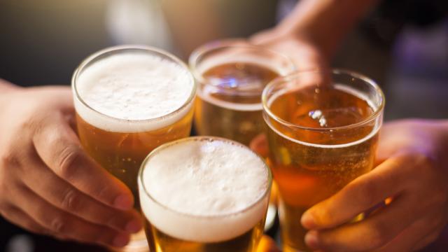 Quelle est la bière la plus appréciée des Français ? Les chiffres dévoilés