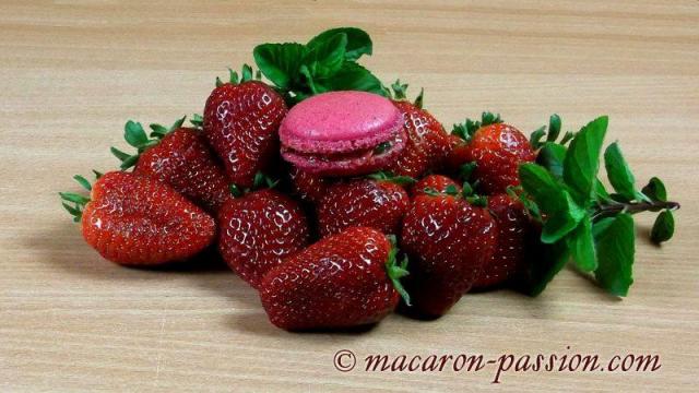 Macarons fraise menthe