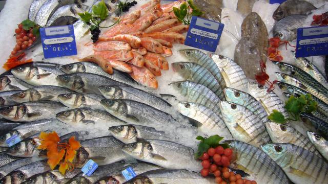 Rappel Produit : Ce poisson frais vendu dans tous les Auchan de France peut être toxique !