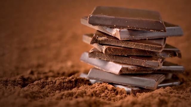 “On ne peut pas faire plus simple” : François-Régis Gaudry partage une super recette de crème chocolat 100% végétale