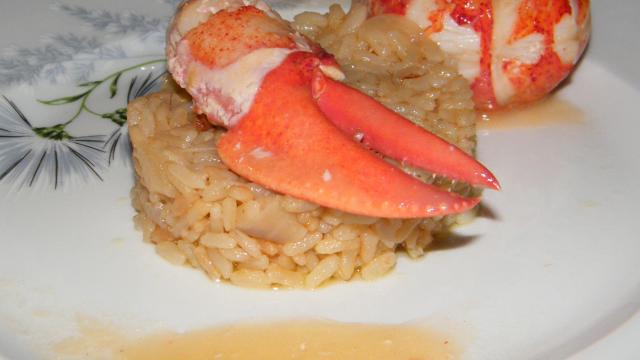 Civet de homard et son risotto