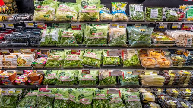 Rappel produit : ces salades en sachet vendues dans toute la France sont contaminées par la listeria !