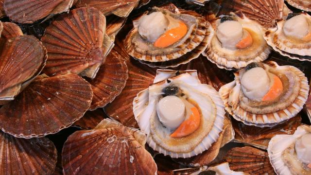 "Très rapide à réaliser": François-Régis Gaudry propose une recette simple de Saint-Jacques, idéale pour le menu du Nouvel An