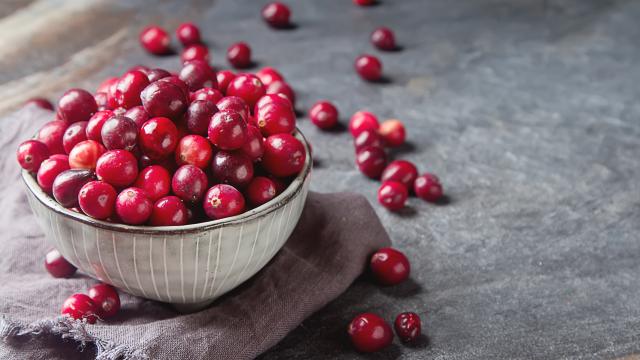 Pourquoi les cranberries sont-elles si bonnes pour notre santé ?