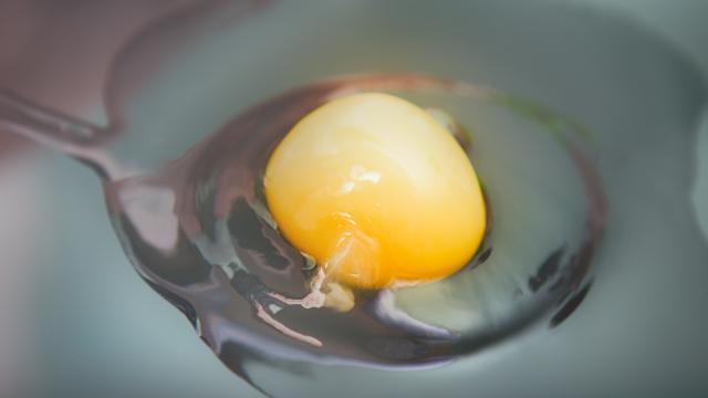 Faut-il retirer le chalaze, ce filament blanc présent dans le blanc d’oeuf ?