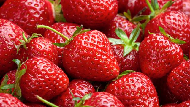 Conservez 2 fois plus longtemps vos fraises avec cette astuce incroyable