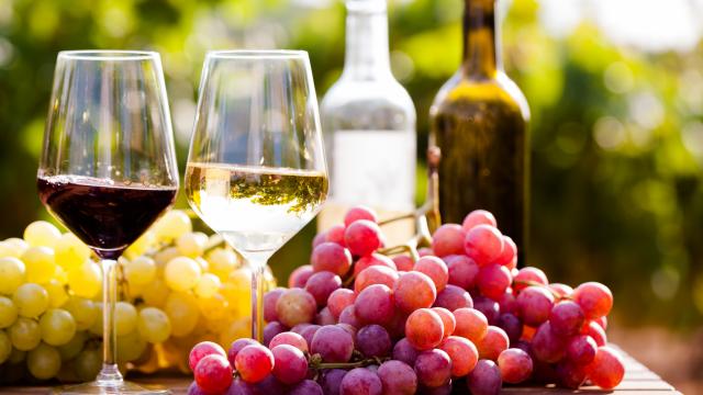 Foire aux vins « Printemps 2024 » : des experts dévoilent vers quelles bouteilles vous tourner chez Carrefour !