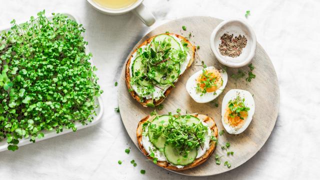 Tartines au fromage frais et concombre, oeufs durs et graines germées