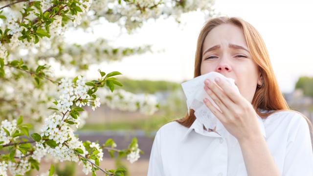 Calmez vos crises d'allergies avec ces aliments magiques !