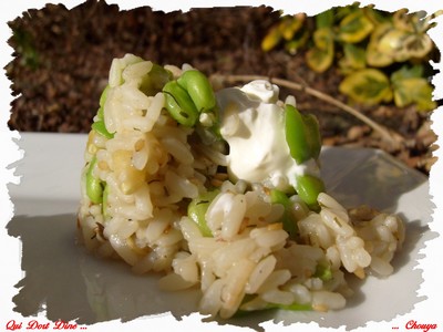 Risotto Feves, pignons, sésame