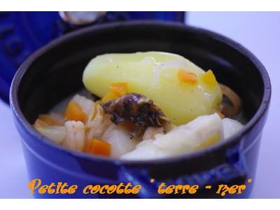 Petite cocotte "terre-mer"