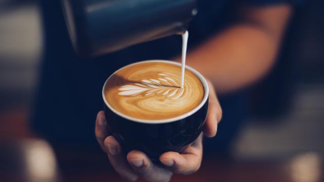 Quel est le meilleur lait à mettre dans son café ? Cette nutritionniste nous donne la réponse