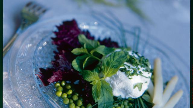 Fond de petits pois dans leur jus tiède à la menthe infusée et chèvre