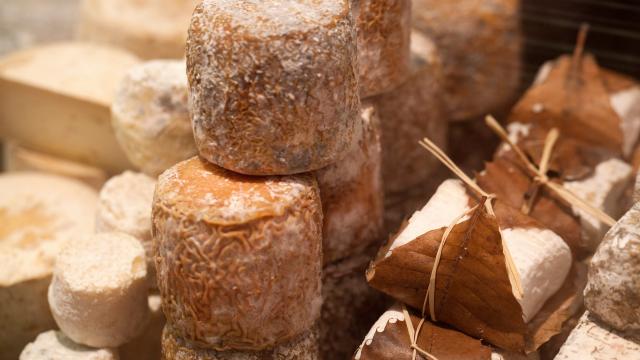 Alerte rappel produit : quels sont les fromages de chèvre qu’il ne faut surtout pas consommer ?