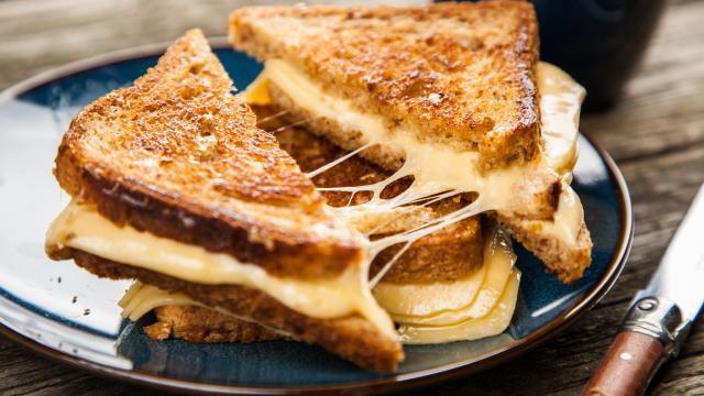 Grilled cheese sandwich