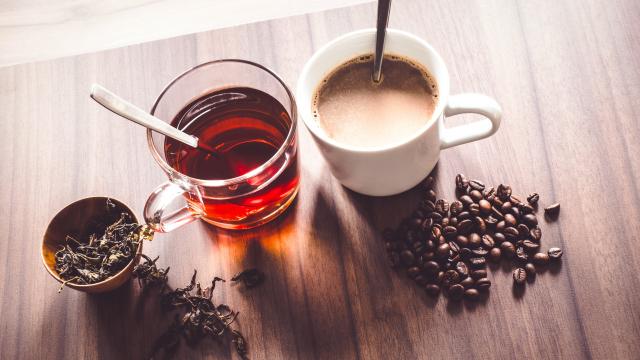 Est-ce que nos tasses de thé ou de café comptent dans notre quota d'eau à boire pour bien rester hydraté ?