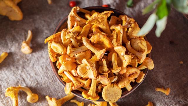 Comment préparer, nettoyer et cuire les girolles ?