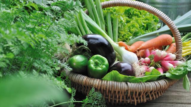 Crus ou cuits  : comment manger les légumes pour profiter au maximum de leurs bienfaits ?