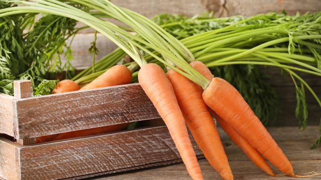 Le vrai-faux des idées reçues sur la carotte