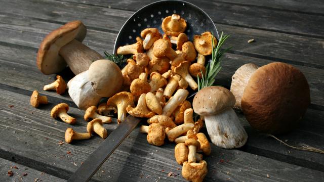 Comment congeler des champignons frais ? Les erreurs à éviter