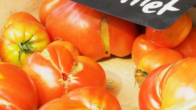 Chef Damien au marché : Les tomates