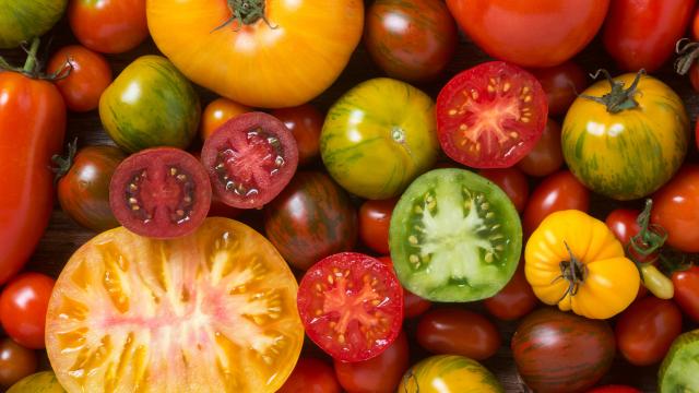 Cette erreur que l’on fait tous avec nos tomates