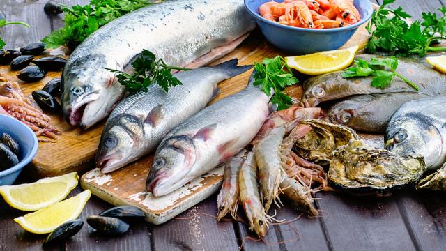 Quels sont les poissons de saison en hiver ?