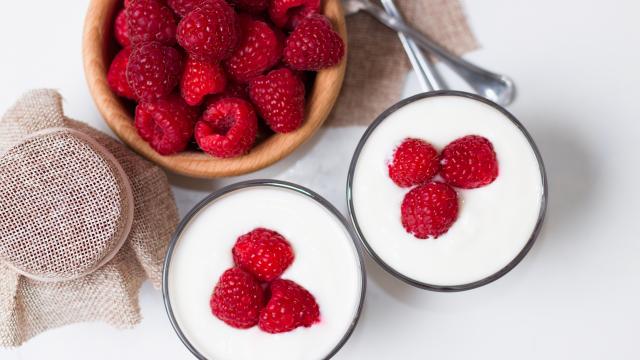 Voici comment faire un Skyr Flan, un snack protéiné parfait pour les sportifs !