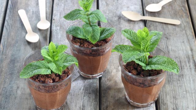 Mousse au chocolat façon pot de fleur