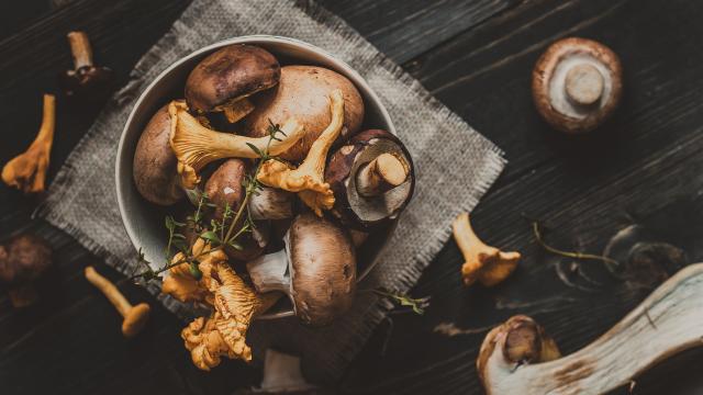 Comment bien nettoyer les champignons avant de les manger ?