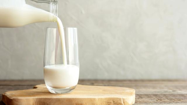 Comment savoir si le lait a tourné ? Une nutritionniste livre ses conseils !