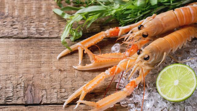 Comment réussir la cuisson des langoustines ?