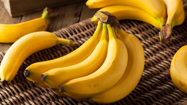 La banane est-elle un bon remède pour soulager la gueule de bois ? Voici l’avis de ce médecin