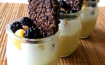 Millet épicé aux pommes et aux mûres et son croquant de chocolat au quinoa soufflé