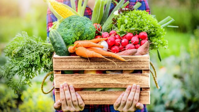 Quels sont les fruits et les légumes les plus touchés par les pesticides ? 60 Millions de consommateurs répond