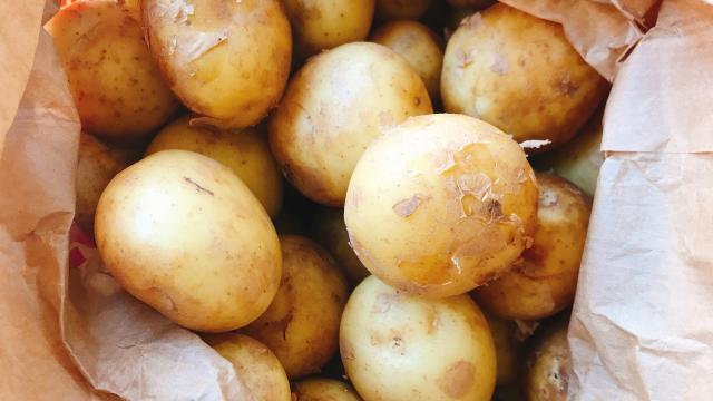 Podcast : Les pommes de terre Primeur