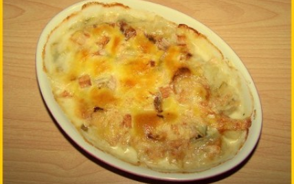 Gratin d'endives au maroilles facile