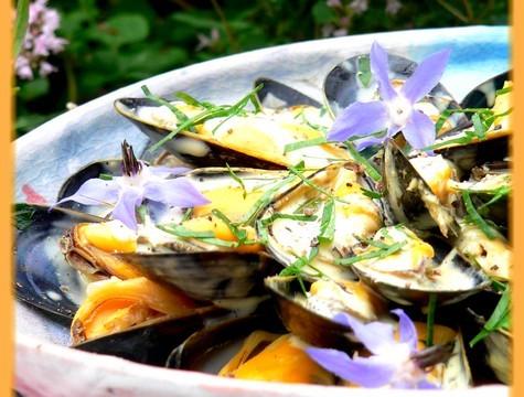 Salade de moules de bouchot, sauce légère au curry