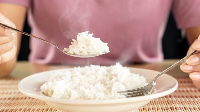 Manger du riz le soir : bonne ou mauvaise idée ?