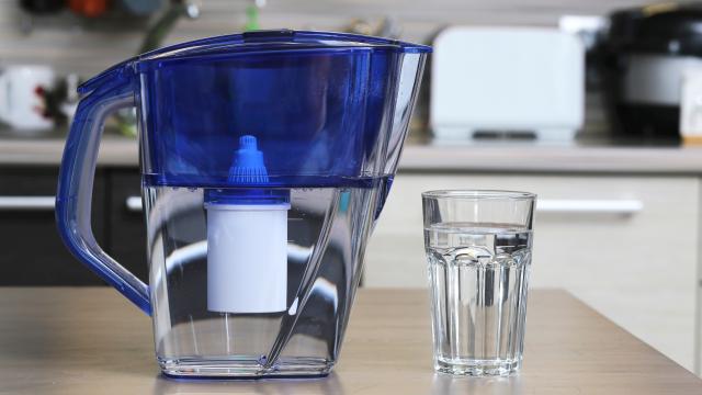 Carafe filtrante : comment en prendre soin pour ne pas qu’elle devienne un nid à bactéries ?