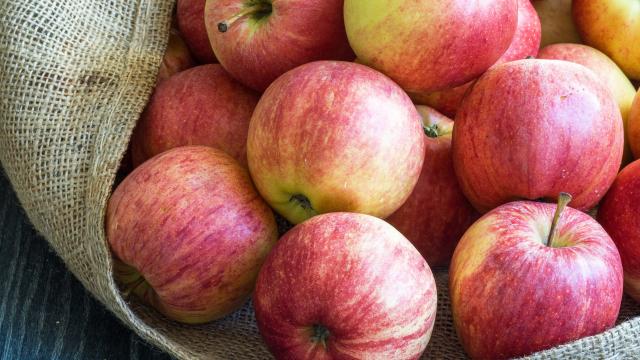 Jus de pomme, compote, fruit : comment consommer la pomme pour profiter de tous ses bienfaits ?